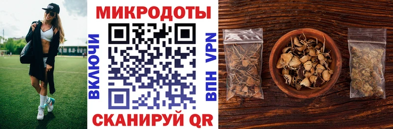 как найти наркотики  Малаховка  Галлюциногенные грибы MAGIC MUSHROOMS 